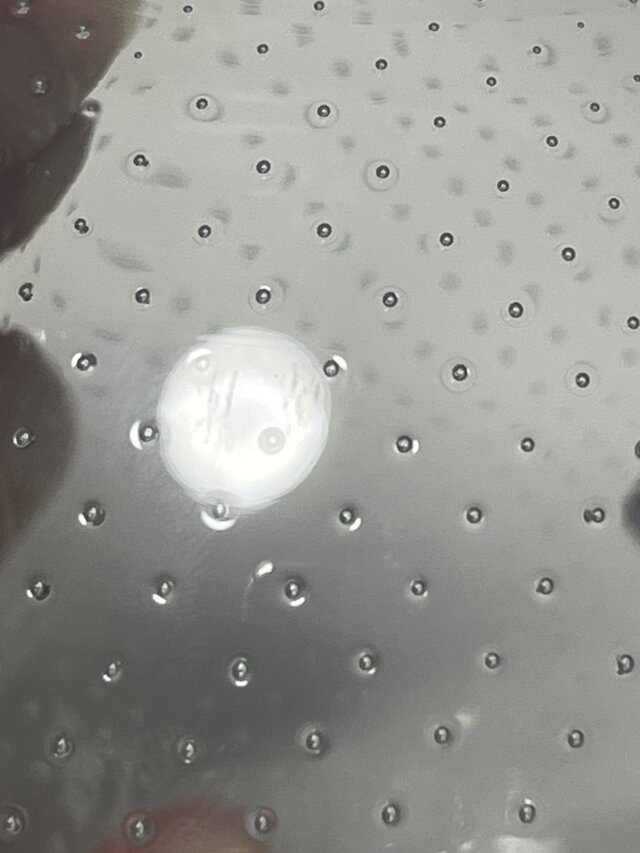 nuutajärvi】Inkeri Toikka / Kissa（ねこ）・ インケリトイッカ