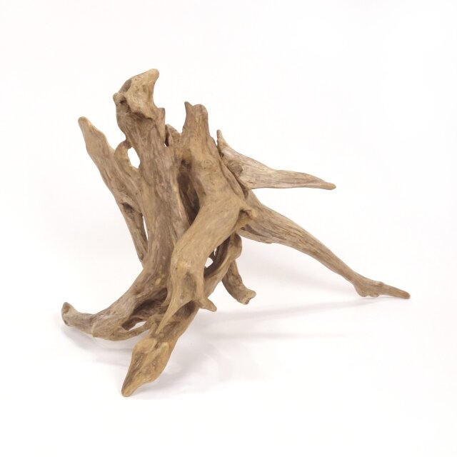 【温泉流木】繊細にくりぬかれた空洞の根流木オブジェ 流木素材 インテリア素材 レイアウト素材