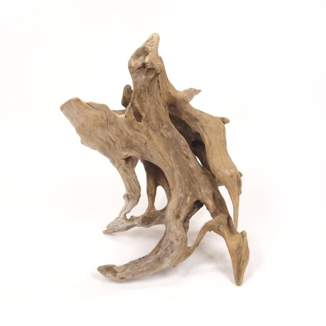 温泉流木】繊細にくりぬかれた空洞の根流木オブジェ 流木素材