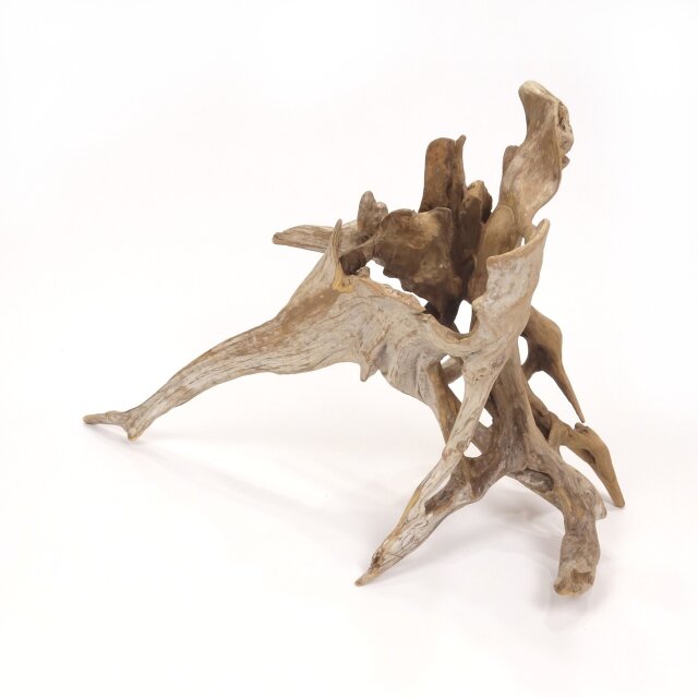 温泉流木】繊細にくりぬかれた空洞の根流木オブジェ 流木素材