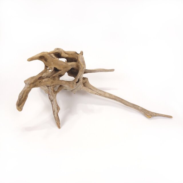 温泉流木】繊細にくりぬかれた空洞の根流木オブジェ 流木素材