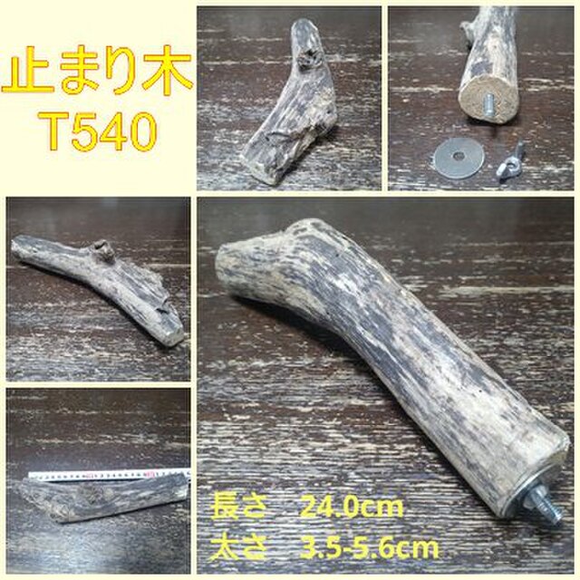 止まり木（流木：TOY-08-015）T540
