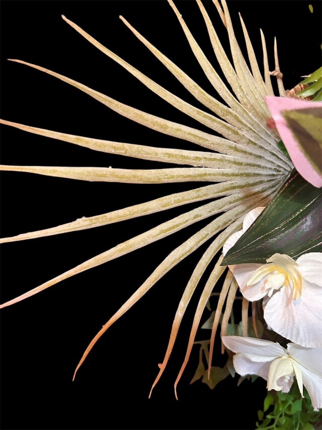 光触媒　人工観葉植物　ウォールグリーン　フェイクグリーン　パスカリ 光触媒 人工観葉植物 ウォールグリーン フェイクグリーン
