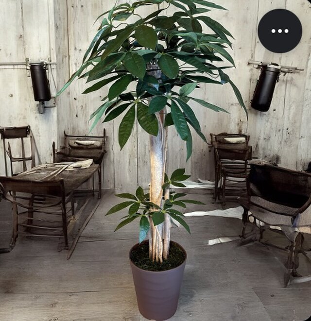 光触媒 人工観葉植物 ウォールグリーン フェイクグリーン パキラ11057