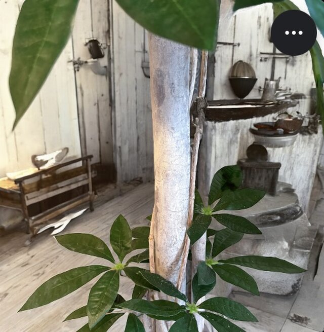 光触媒 人工観葉植物 ウォールグリーン フェイクグリーン パキラ11057