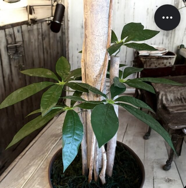 光触媒 人工観葉植物 ウォールグリーン フェイクグリーン パキラ11057