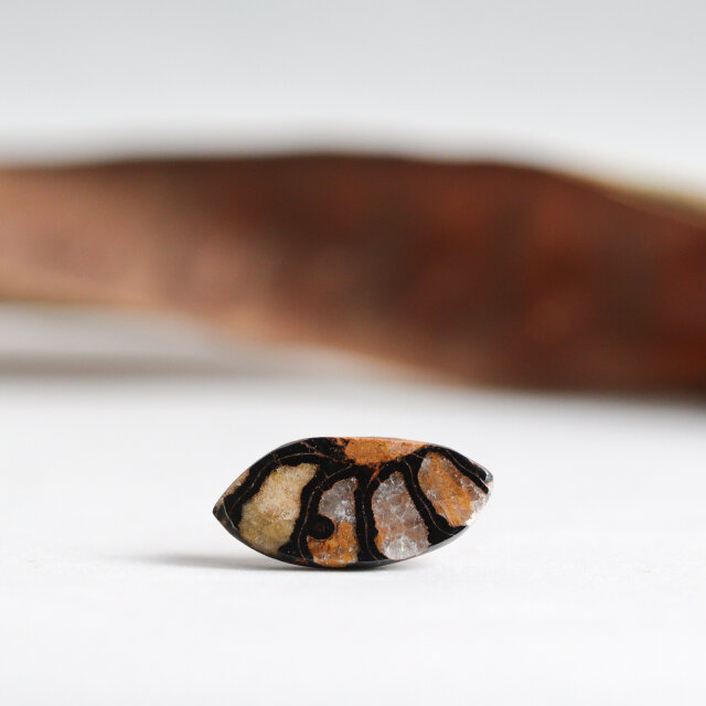 K14｜Fossilia｜アンモナイトのシングルスタッドピアス（片耳）B