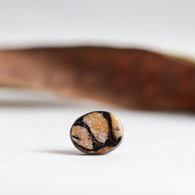 K14｜Fossilia｜アンモナイトのシングルスタッドピアス（片耳）C