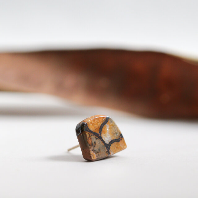 K14｜Fossilia｜アンモナイトのシングルスタッドピアス（片耳）D