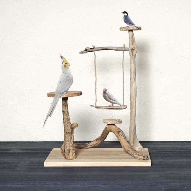 流木の止まり木【バードランドの子守歌】バードスタンド、止まり木、流木、流木アート、飾り棚、１２６