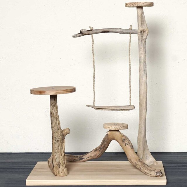 流木の止まり木【バードランドの子守歌】バードスタンド、止まり木