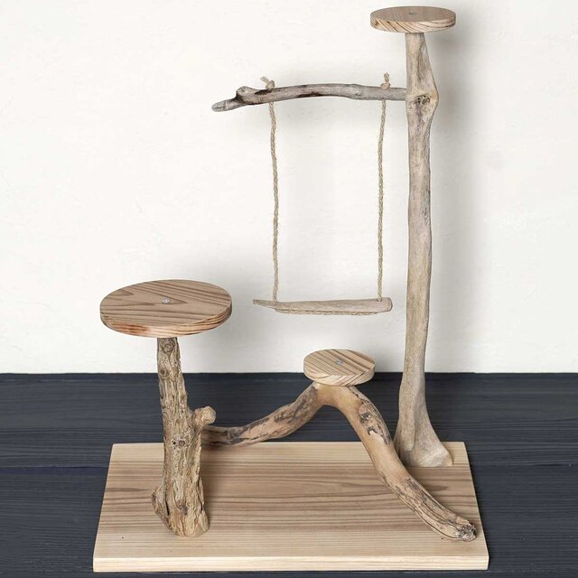 流木の止まり木【バードランドの子守歌】バードスタンド、止まり木