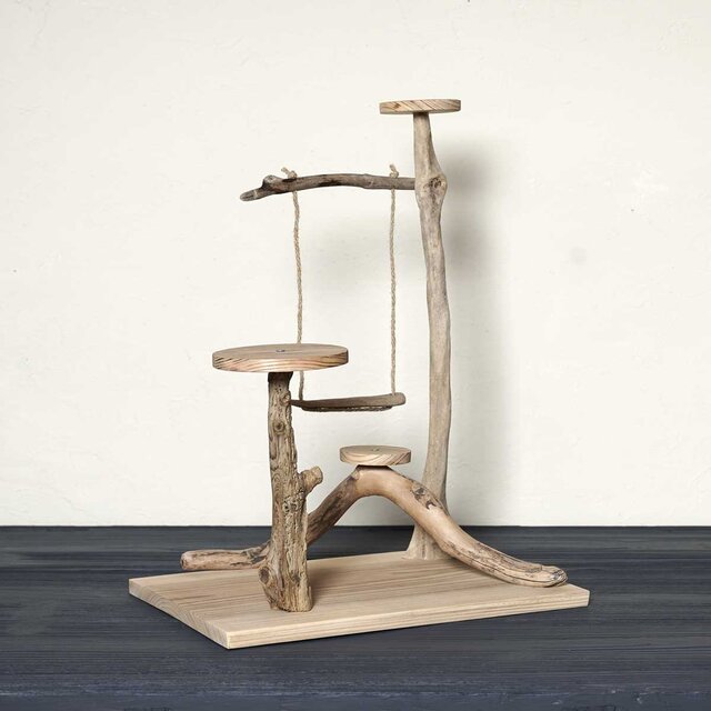 流木の止まり木【バードランドの子守歌】バードスタンド、止まり木