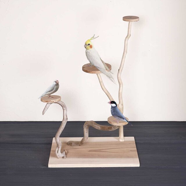 流木の止まり木【バードランドの子守歌】バードスタンド、止まり木、流木、流木アート、飾り棚、１２９