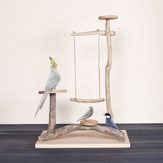 流木の止まり木【バードランドの子守歌】バードスタンド、止まり木、流木、流木アート、飾り棚、１３０