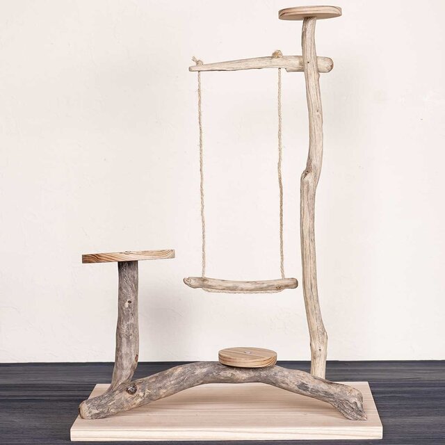 流木の止まり木【バードランドの子守歌】バードスタンド、止まり木