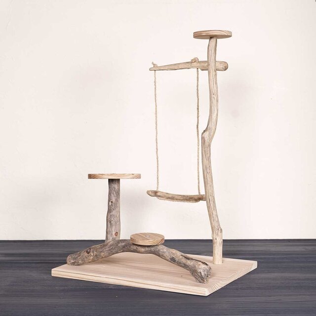 流木の止まり木【バードランドの子守歌】バードスタンド、止まり木