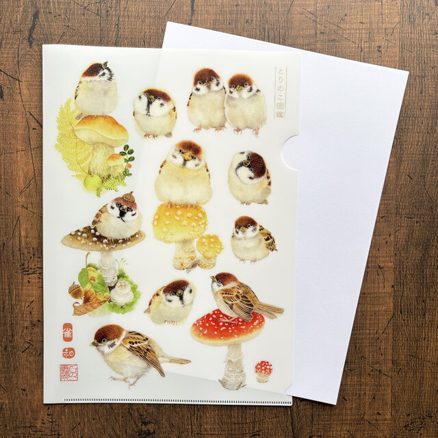 クリアファイル〈A4サイズ〉とりのこ図鑑・雀 | iichi 日々の