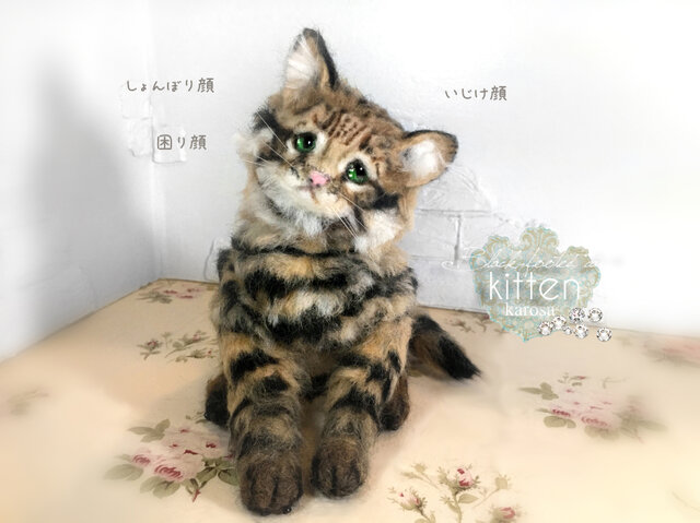 羊毛フェルト 猫の顔アート（オーナー） 羊毛フェルト 猫の顔アート（オーナー） 羊毛フェルト 猫の顔の