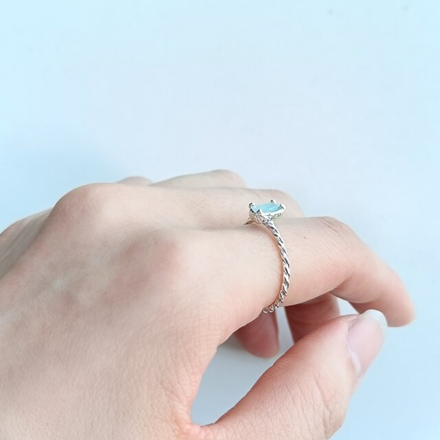 SV925］Hekirei-碧麗- グランディディエライトリング 木 虹 植物 花