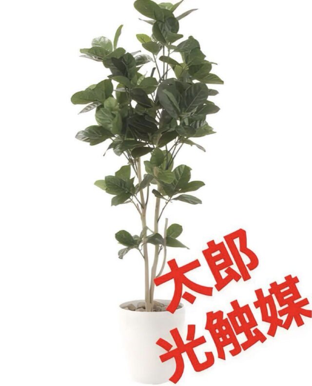 光触媒 人工観葉植物 ウォールグリーン フェイクグリーン パンの木 