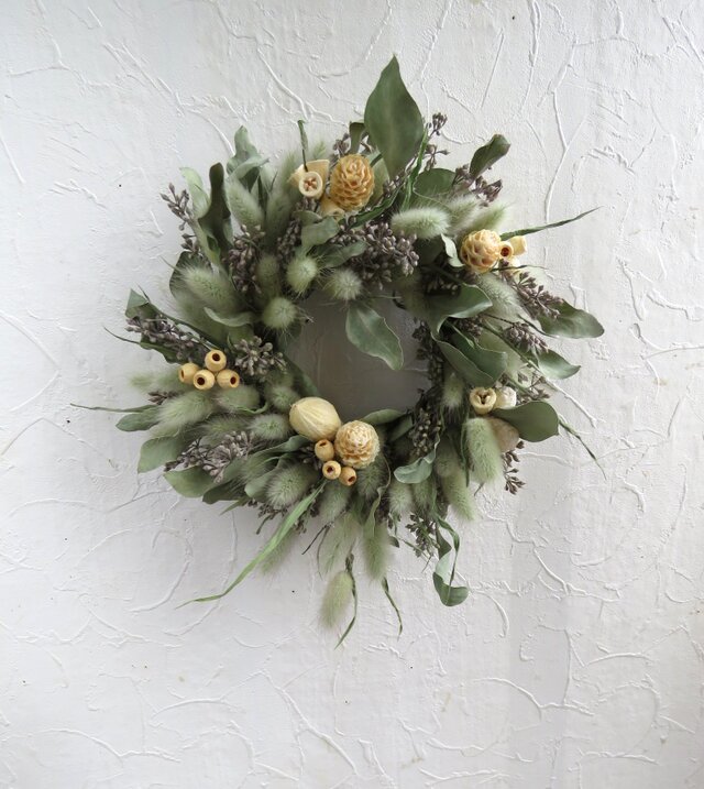 ユーカリパルプラとラグラスのリース