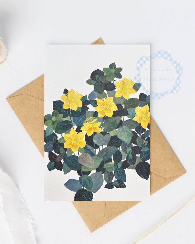 （32）ヒペリカムの花　ポストカード　3枚セット