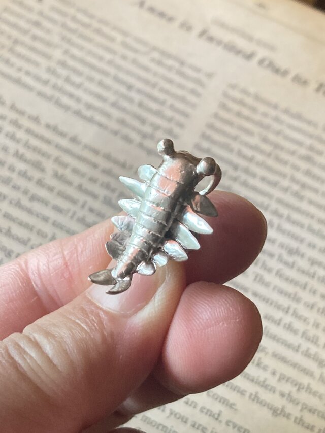 アノマロカリスピンブローチ | iichi 日々の暮らしを心地よくする