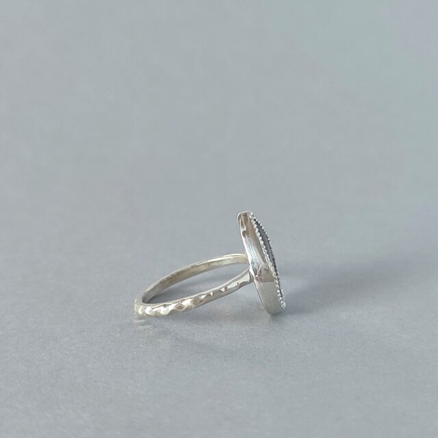 1点もの】デンドリティックアゲート/アゲート/シダ模様/植物