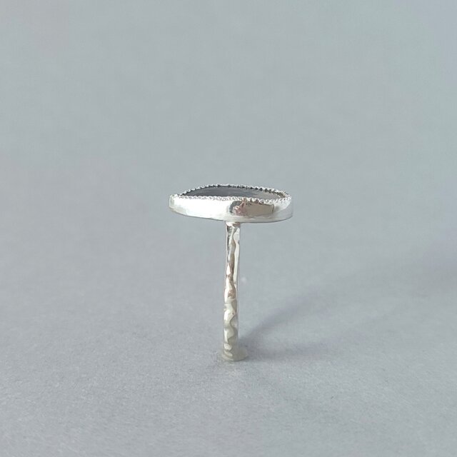 週末セール デンドリティックアゲート シルバーリング サイズ13号 送料無料】デンドリティックアゲート・リング（silver925/k10） 指輪