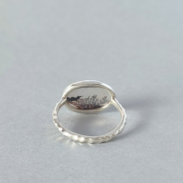 1点もの】デンドリティックアゲート/アゲート/シダ模様/植物