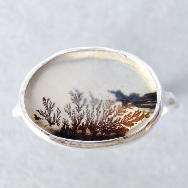 1点もの】デンドリティックアゲート/アゲート/シダ模様/植物