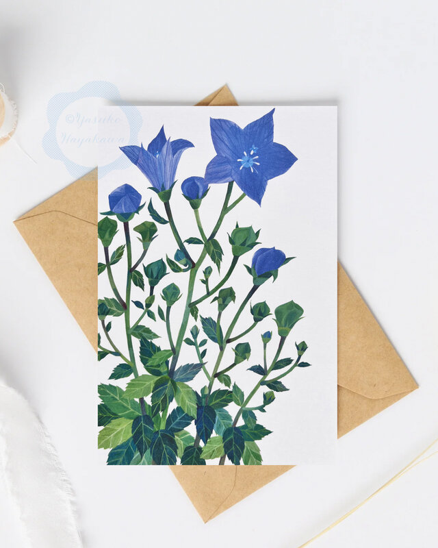 （36）青いキキョウの花　ポストカード　3枚セット