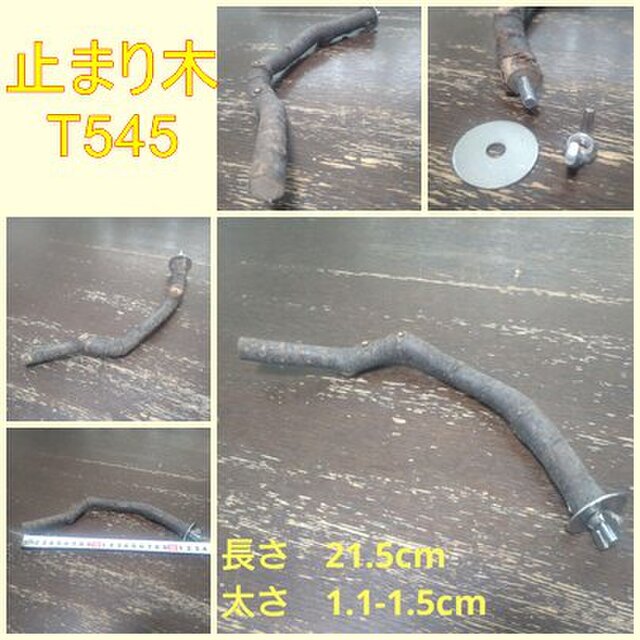 止まり木（枝：TOY-08-015）T545