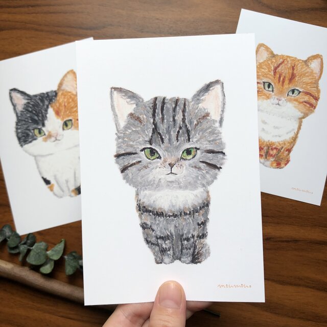 3匹の猫 (ポストカード3枚入り) クレパス画 | iichi 日々の暮らしを