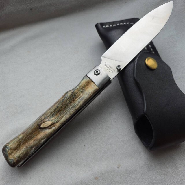 虹彩珊瑚の折りたたみ包丁