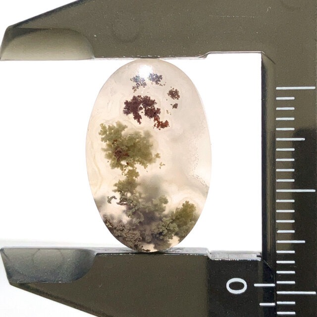 モスアゲート[311] 19x13mm 14Cts　ルース／天然石／カボション