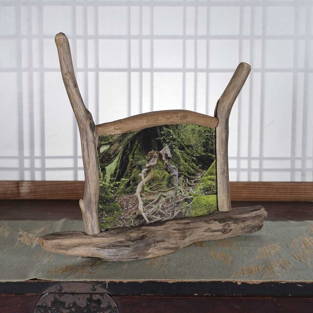 流木 アート 店舗ディスプレイ 約46cm 自然な形状 自立型 流木フォトスタンド 写真額 写真立て 木の額 流木アート 木の