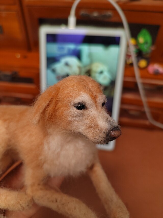 虹の橋の愛犬を形に 羊毛フェルト｜メモリアル オーダーメイド | iichi