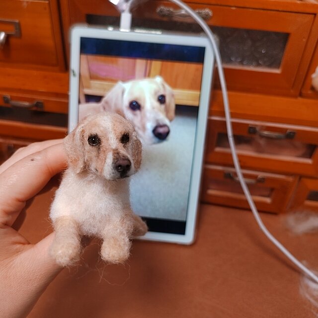 写真から作る 犬 羊毛フェルト｜愛犬 そっくり うちの子ドール | iichi