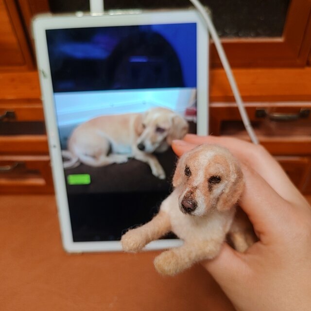 写真から作る 犬 羊毛フェルト｜愛犬 そっくり うちの子ドール | iichi
