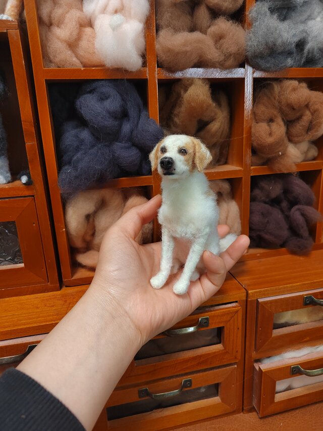 羊毛フェルト 犬 ドール オーダーメイド｜写真から作る 愛犬ギフト