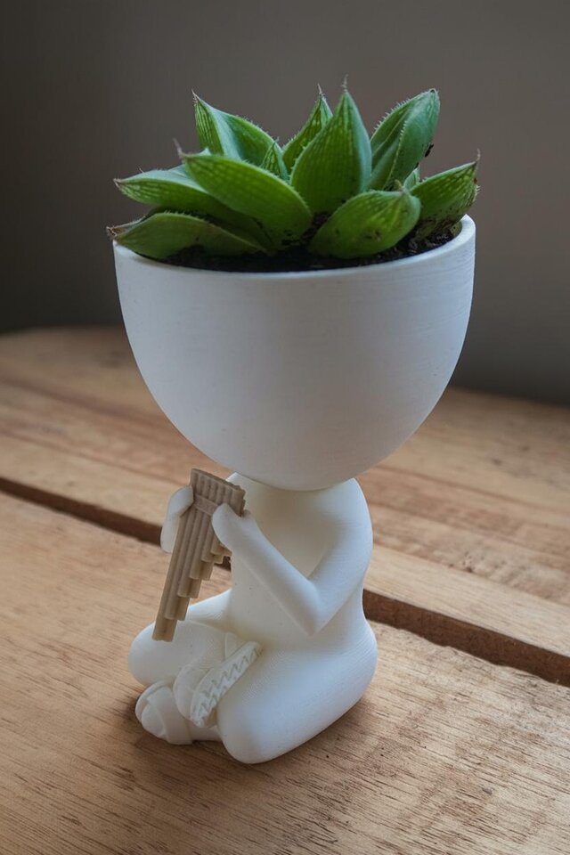 ザンポーニャを演奏するロバート・プラントの鉢