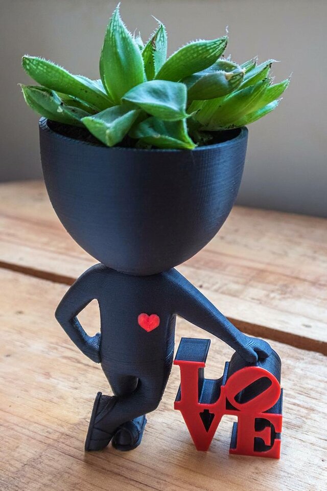 愛の心を持つロバートプラントポット