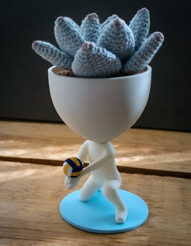 ロバート・プラント バレーボールをする