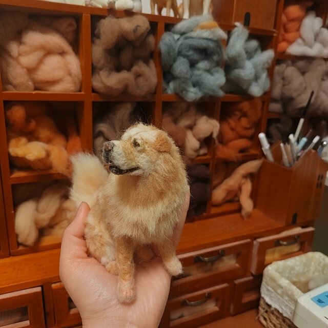 羊毛フェルト犬 オレンジ色 ぬいぐるみ 店舗 東京 羊毛フェルト犬 オレンジ色 ぬいぐるみ 【公式通販】