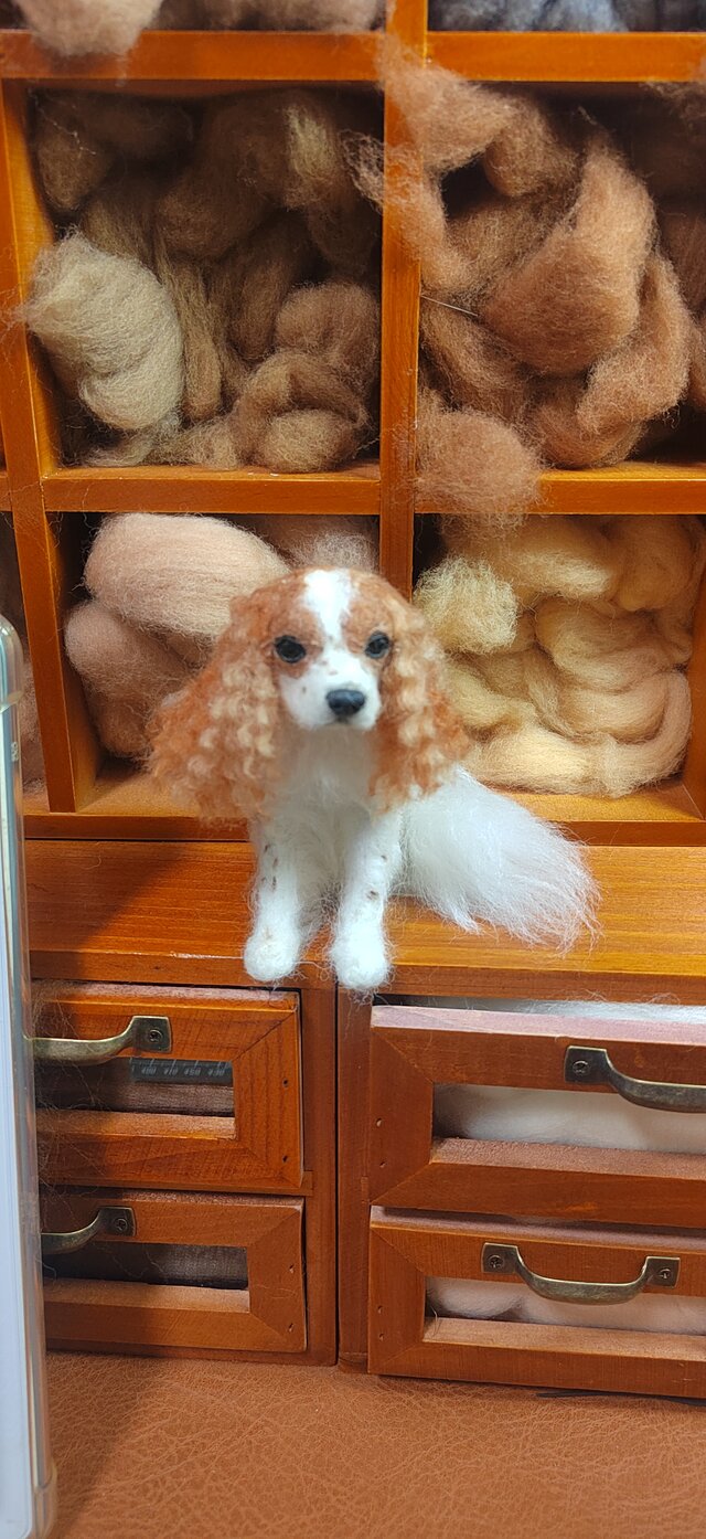 羊毛フェルト　犬　人形 羊毛フェルトキット ミニチュアダックスフンド 羊毛フェルト犬