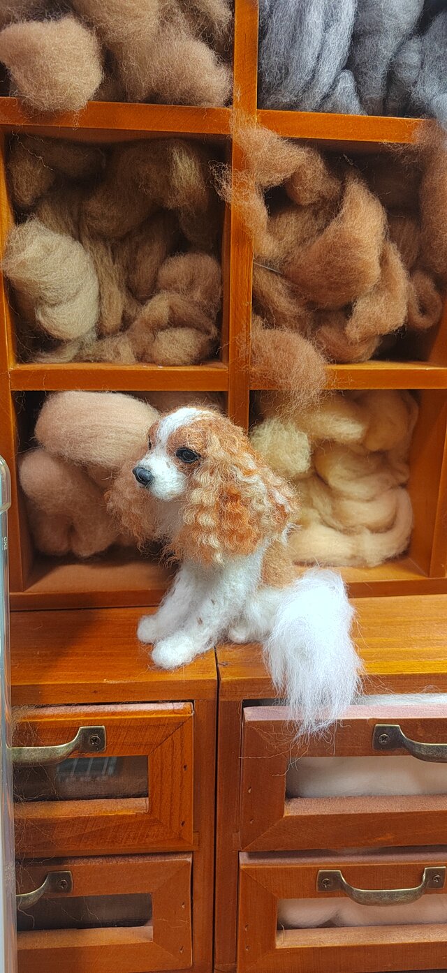 オーダーメイド] 羊毛フェルト 犬 、ペット ぬいぐるみ、うちの