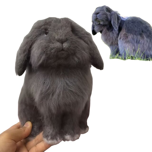 【オーダーメイドペット】 オーダー ペット 人形 羊毛フェルト うさぎ オーダーメイド ウサギ、うちの子、ペット似顔絵、人形