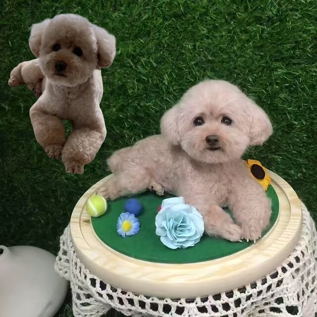 【オーダーメイド ペット】 フェルト ペット 羊毛フェルト ビション・フリーゼ うちの子、ペット似顔絵、犬 猫 人形